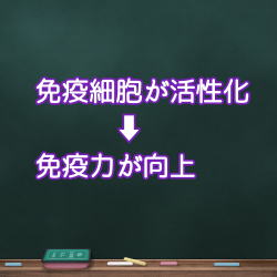 鍼灸の効果9説明3 鍼灸の効果9説明3