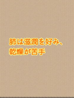 肺 肺