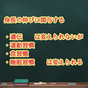 �g���̐L�тɊ֗^����v�f