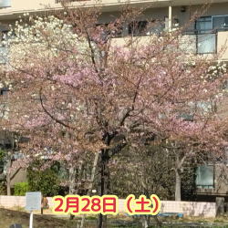 ���s��2/28