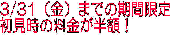 3/31ij܂ł̊Ԍ