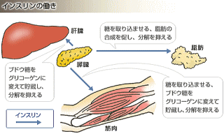 空く お腹 異常 に が