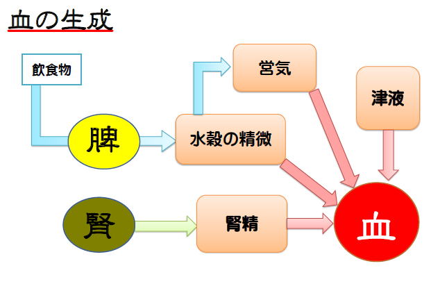 血の生成
