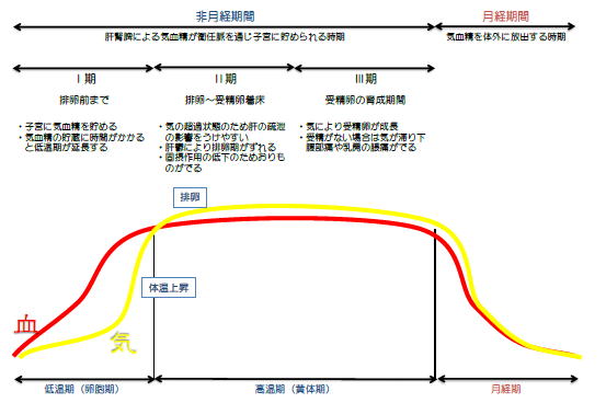 中医月経図