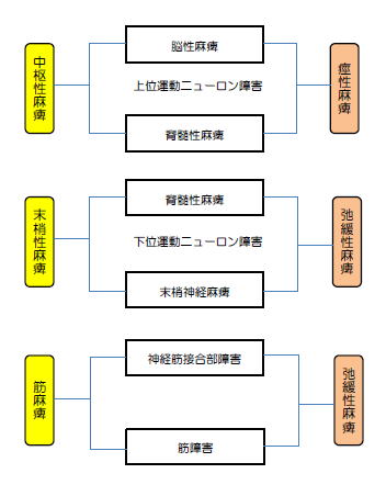 麻痺の分類