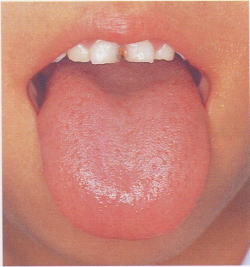 �W�g��E������