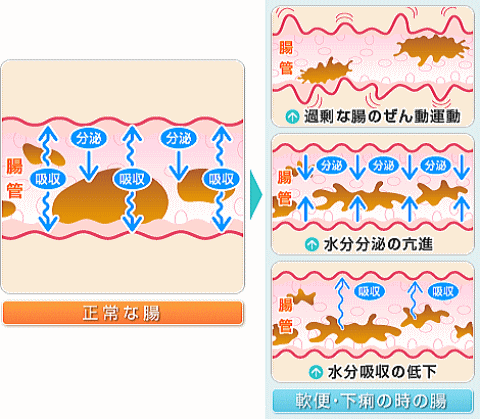 下痢軟便