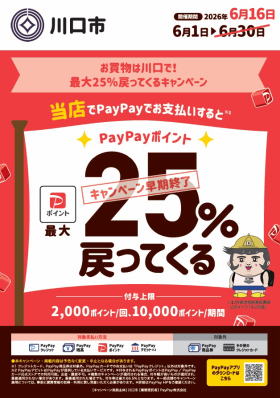 paypayキャンペーン