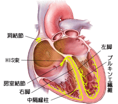 心臓電気